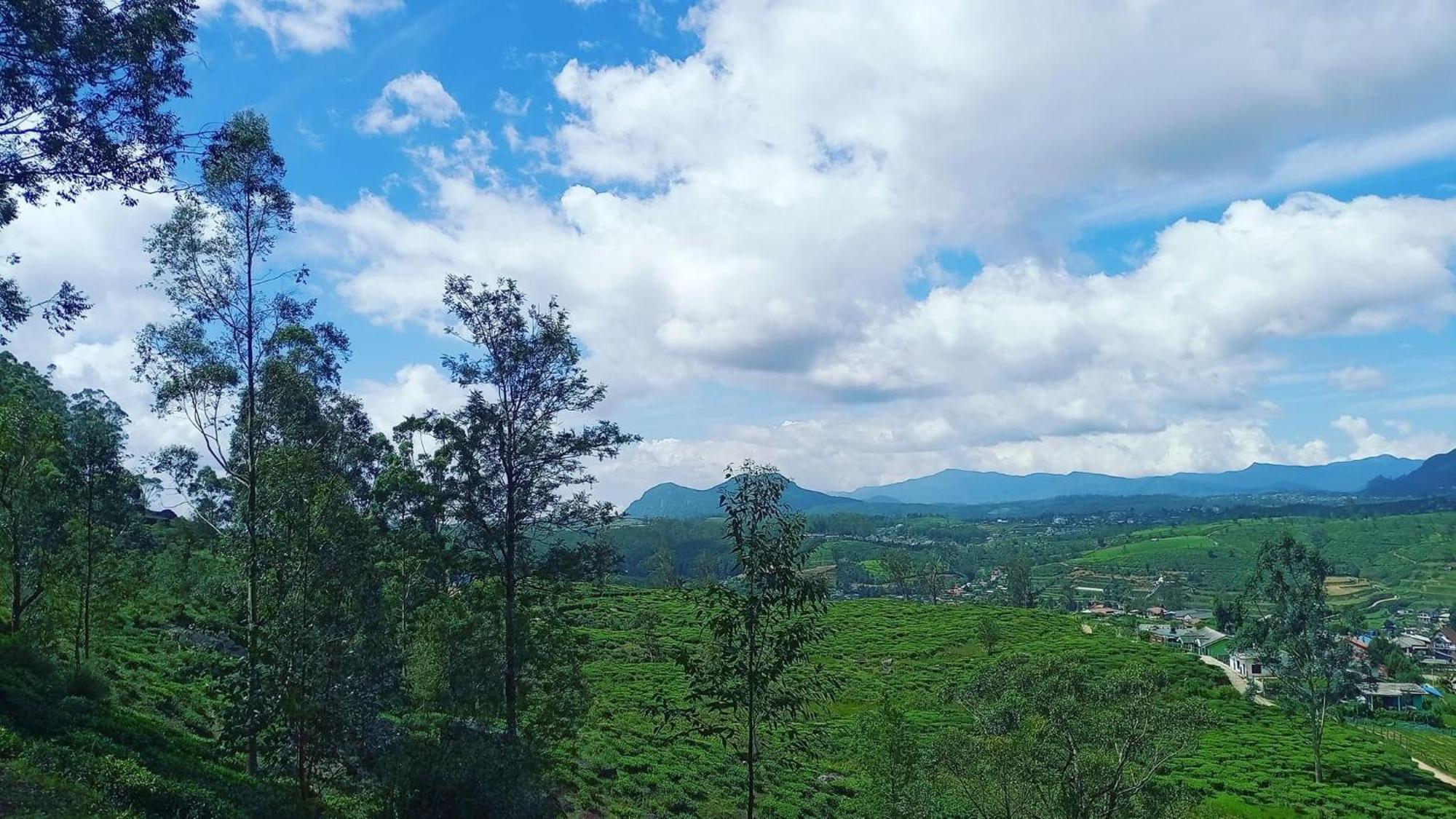 The Paulwood Home Cabin Nuwara Eliya Exterior foto